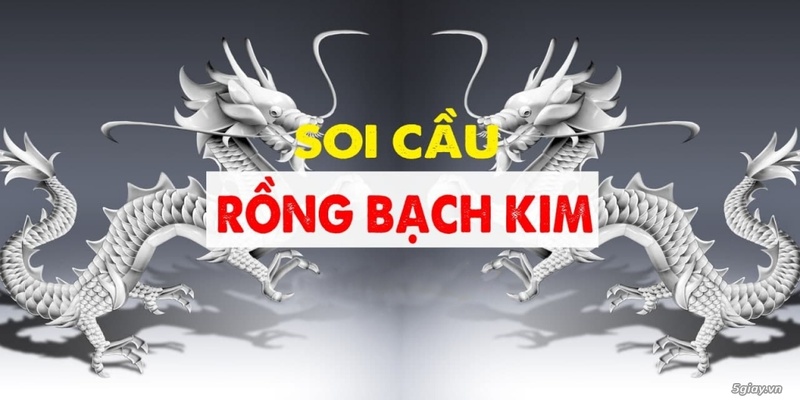 Giới thiệu thông tin về soi cầu bạch kim là gì cực chuẩn 